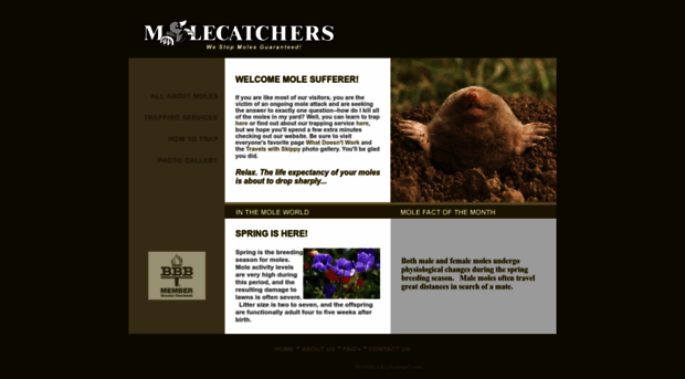 molecatchers.com