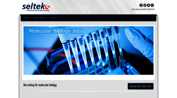 molecularbiologysalesjobs.co.uk