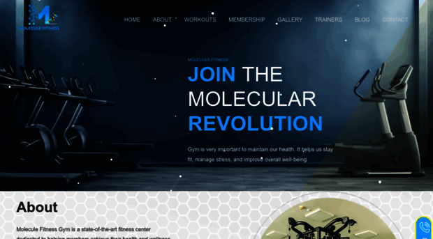 moleculefitness.in