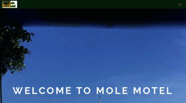 molemotelgh.com