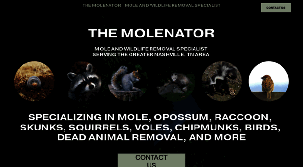 moleremovalnashville.com