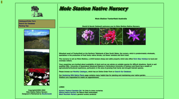 molestationnursery.com