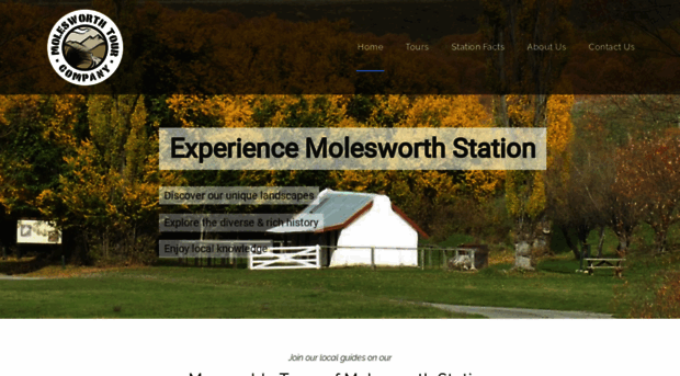 molesworthtours.co.nz