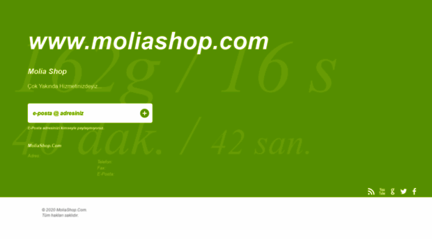 moliashop.com