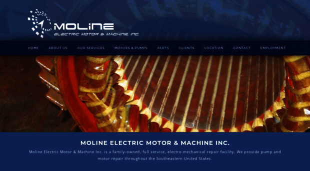 molineelectric.com