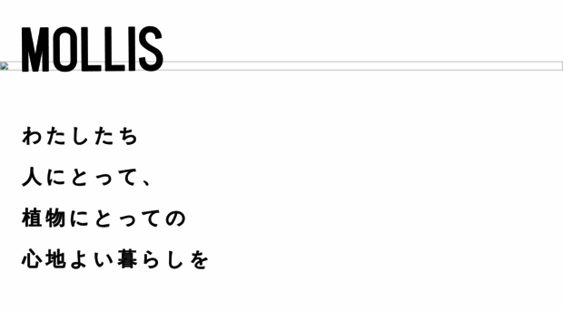 mollis-kinto.com