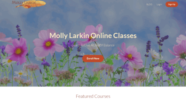 mollylarkinonline.teachable.com