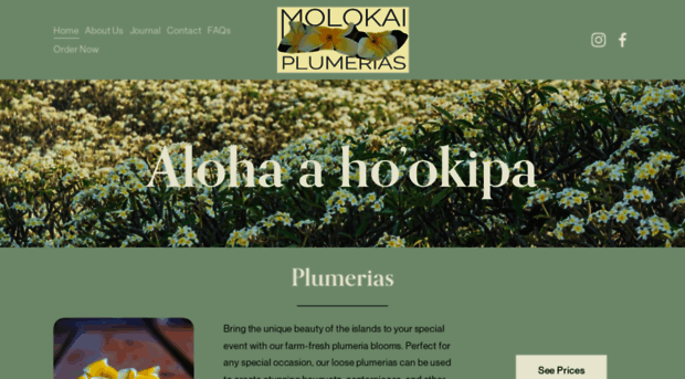 molokaiplumerias.com