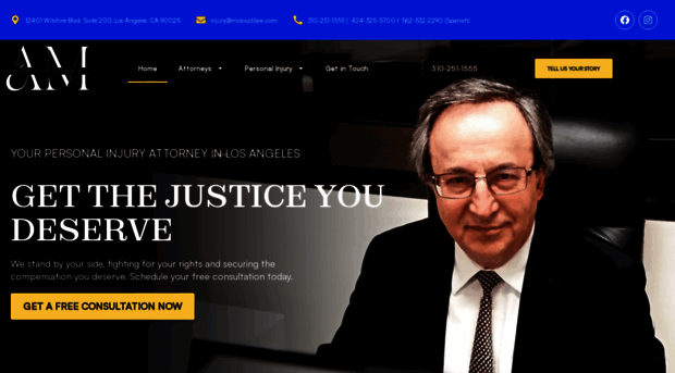 moloudilaw.com