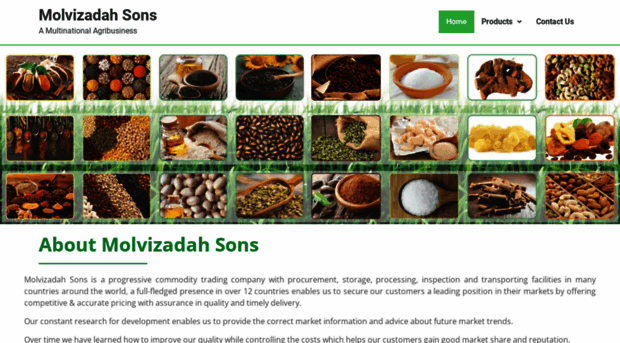 molvizadahsons.com