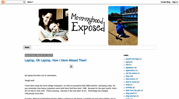 mommyhoodexposed.blogspot.com