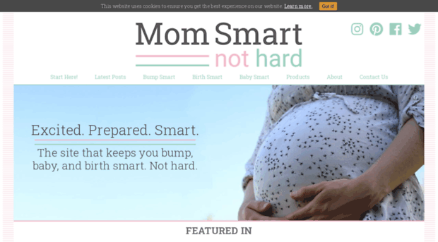 momsmartnothard.com