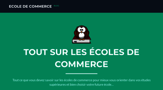 mon-ecole-commerce.com