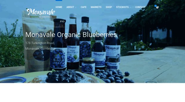 monavaleblueberries.co.nz