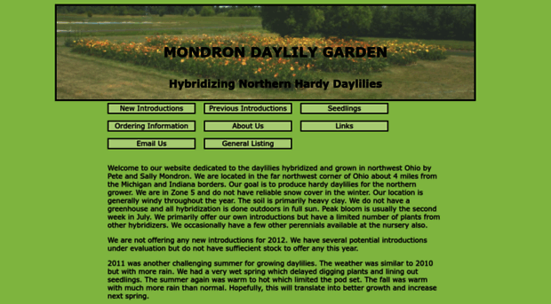 mondrondaylilies.com