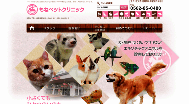 mone-pet.com