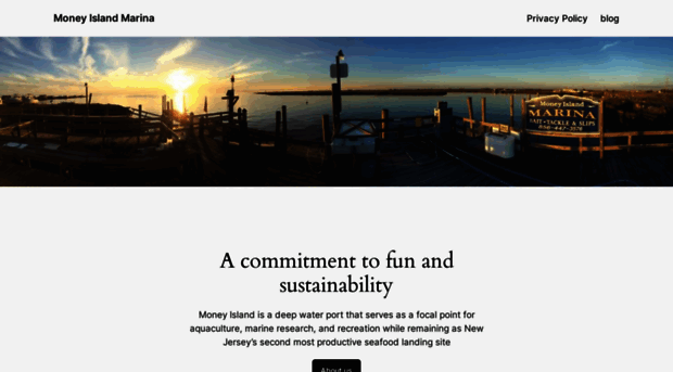 moneyislandmarina.com