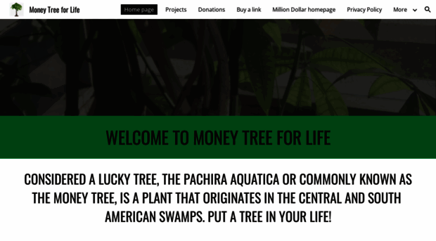 moneytreeforlife.com