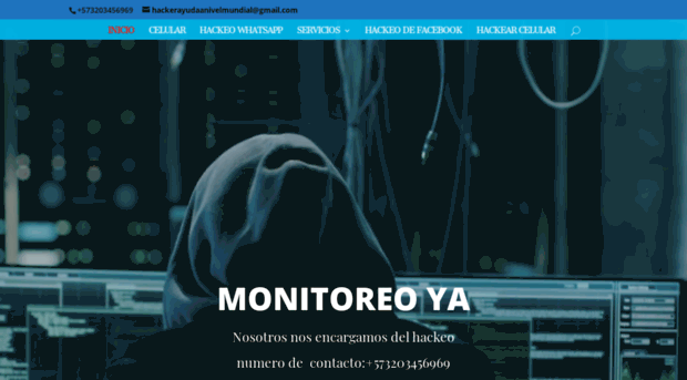 monitorearya.net