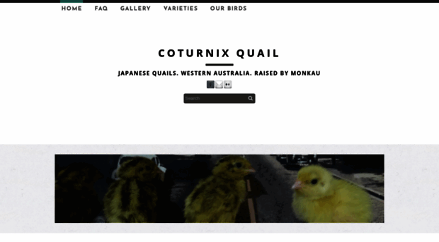 monkau.weebly.com