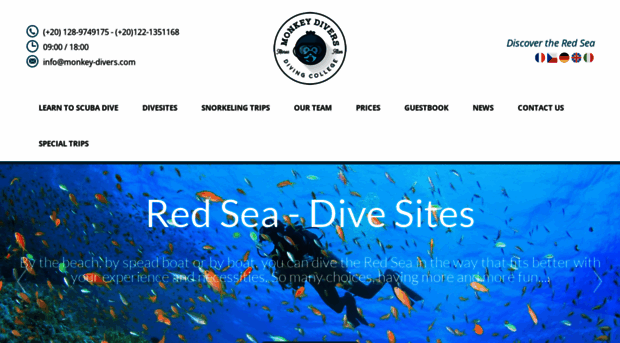 monkey-divers.com