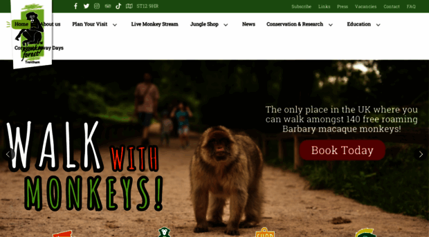 monkey-forest.com