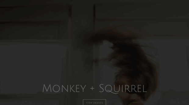 monkeyandsquirrel.blogspot.com