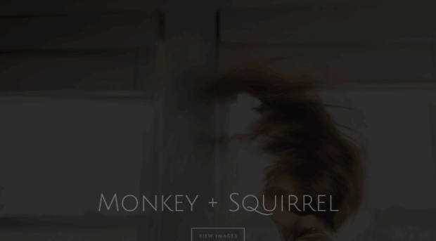 monkeyandsquirrel.com