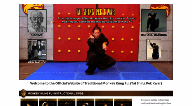 monkeykungfu.com