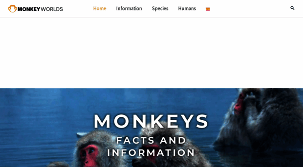 monkeyworlds.com