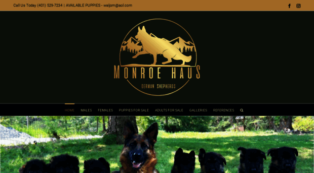 monroehaus.com