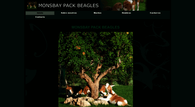 monsbaypack.es