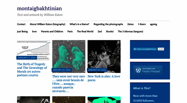 montaigbakhtinian.com