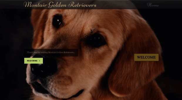 montairgoldens.com