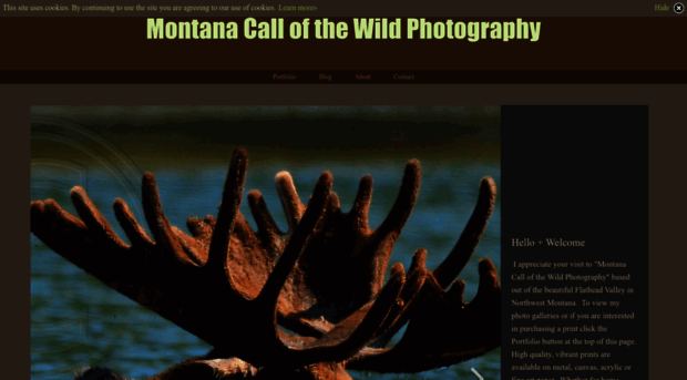 montanacallofthewildphotography.zenfolio.com