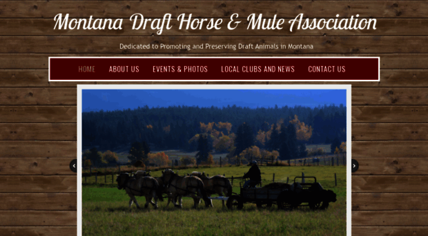 montanadrafthorsemule.com