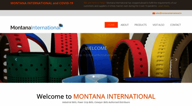 montanainternational.in