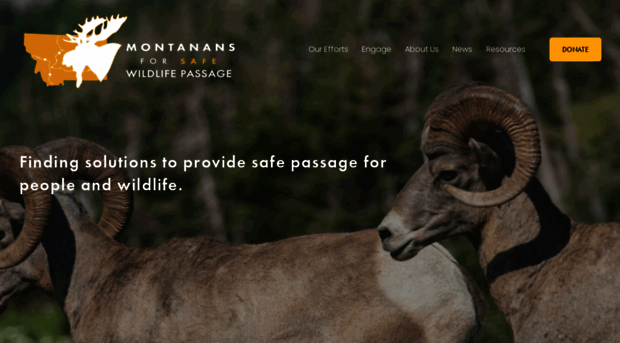 montanans4wildlife.com