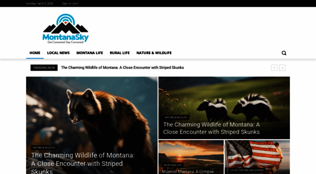 montanaskywebmail.com