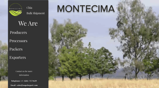 montecima.com