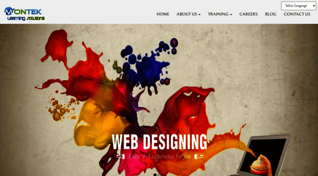 monteklearningsolutions.com