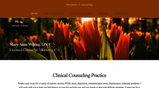 monterey-counseling.com