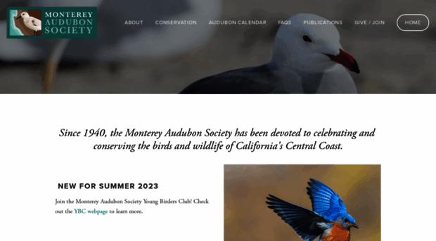 montereyaudubon.org