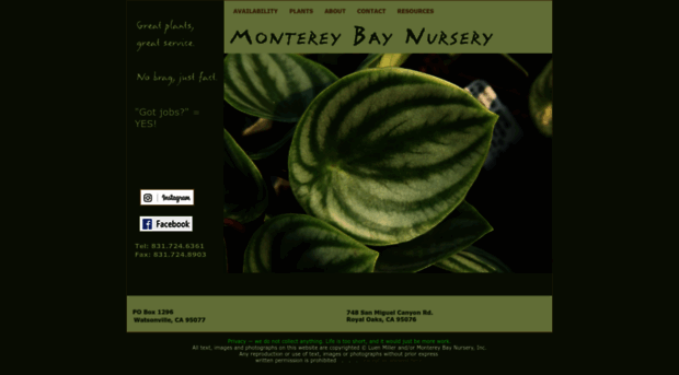 montereybaynsy.com