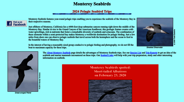 montereyseabirds.com