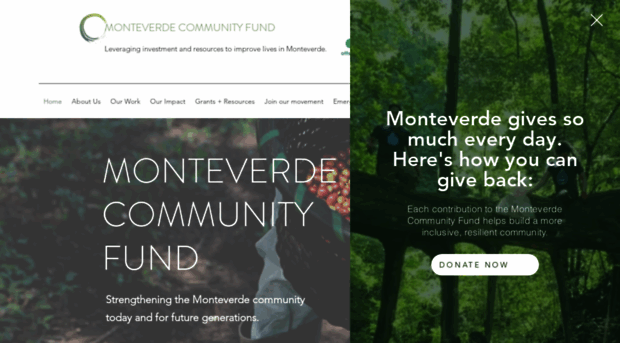 monteverdefund.org