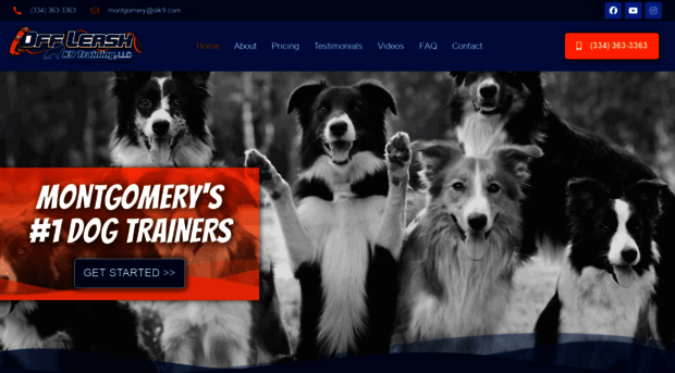 montgomerydogtrainers.com