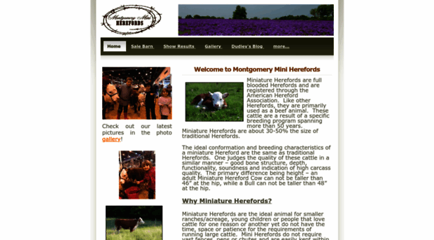 montgomeryminiherefords.com