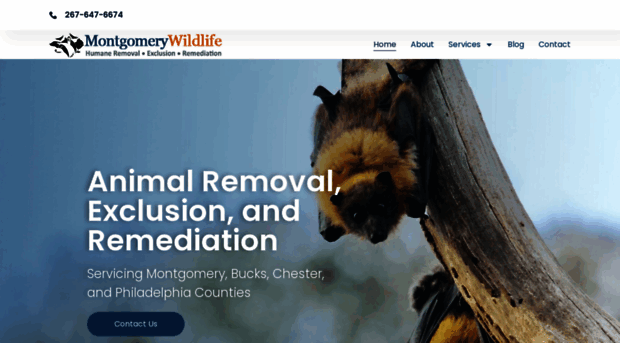 montgomerywildliferemoval.com