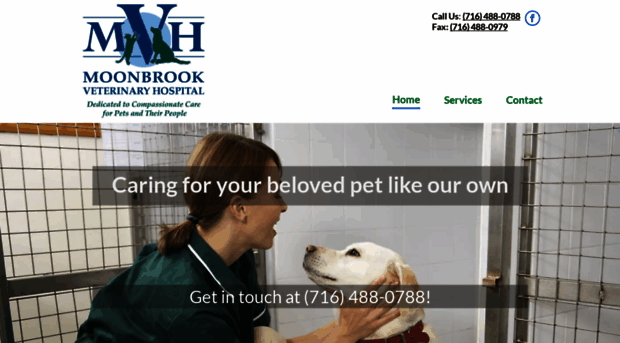 moonbrook.vet